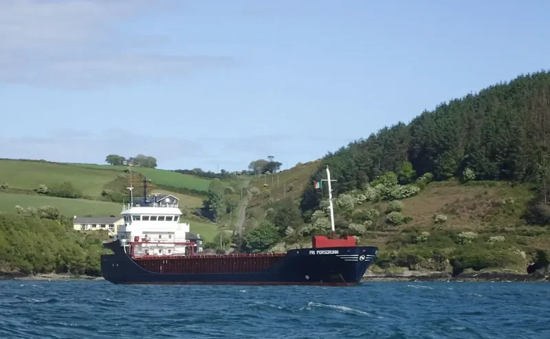 FRI PORSGRUNN General Cargo IMO 9196199 photo 7
