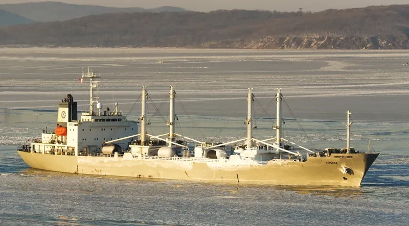 VYSOTSK General Cargo IMO 9196357 photo 5