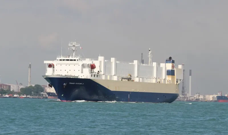 TRANS FUTURE 2 General Cargo IMO 9196400 photo 9