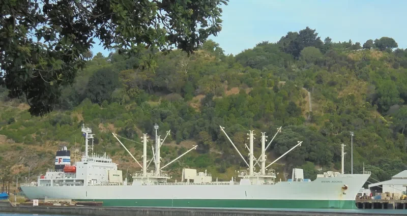VOLKHOV General Cargo IMO 9196424