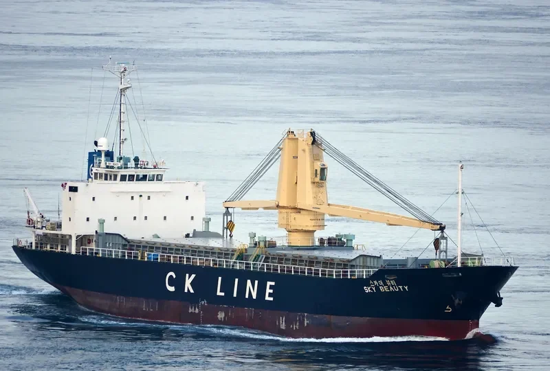 SKY BEAUTY General Cargo IMO 9196462 photo 6