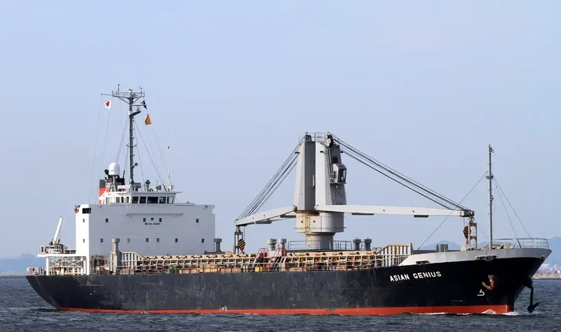 DONGJIN GENIUS General Cargo IMO 9196474 photo 7