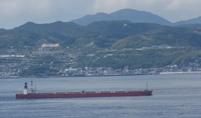 SUNNY SAILOR Bulk Carrier IMO 9196802 photo 2