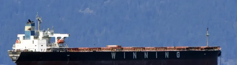 SUNNY SAILOR Bulk Carrier IMO 9196802 photo 6