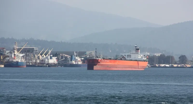 ZHEN HUA 32 General Cargo IMO 9196814 photo 3
