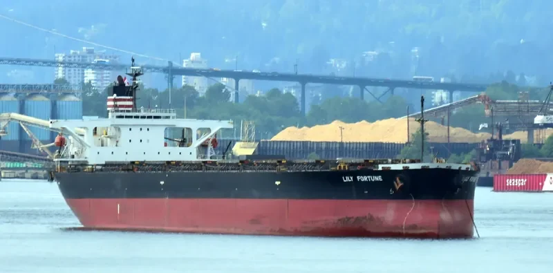 TEN SPRING Bulk Carrier IMO 9196826 photo 5