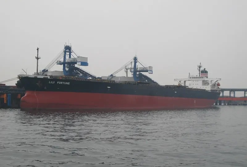 TEN SPRING Bulk Carrier IMO 9196826 photo 8