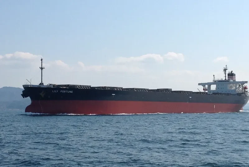 TEN SPRING Bulk Carrier IMO 9196826 photo 10