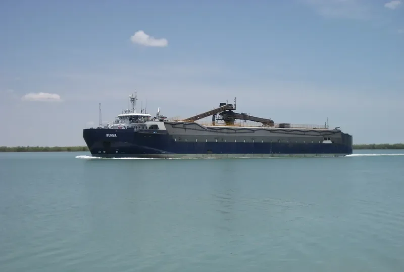 WUNMA Bulk Carrier IMO 9196929 photo 2