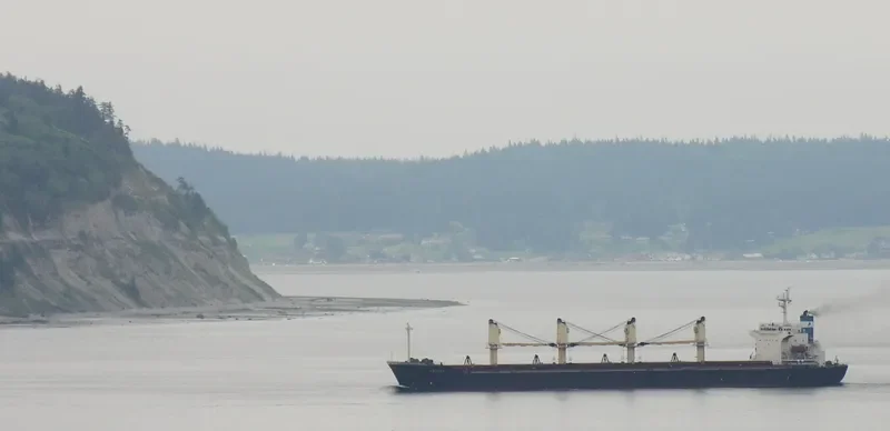 ZE RUI 1 Bulk Carrier IMO 9197222