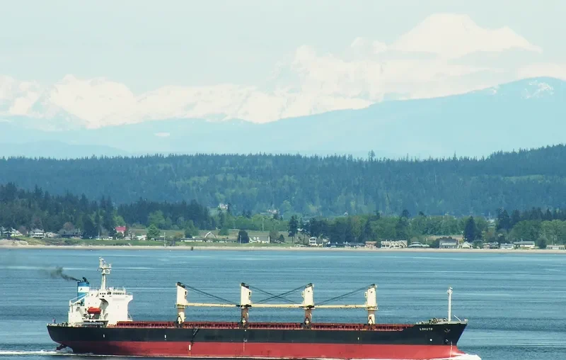 ZE RUI 1 Bulk Carrier IMO 9197222 photo 2