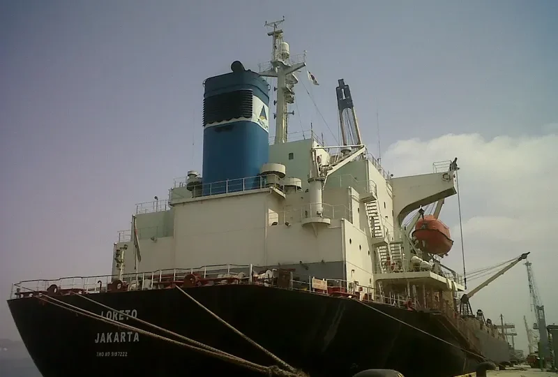 ZE RUI 1 Bulk Carrier IMO 9197222 photo 5