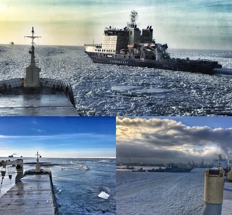 CYGNUS General Cargo IMO 9197428