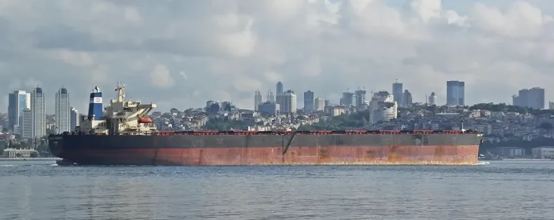IONIAN Bulk Carrier IMO 9198020 photo 3