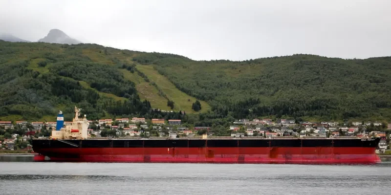 IONIAN Bulk Carrier IMO 9198020 photo 9