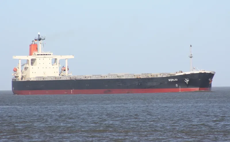 SUNNY BOKE Bulk Carrier IMO 9198240 photo 2