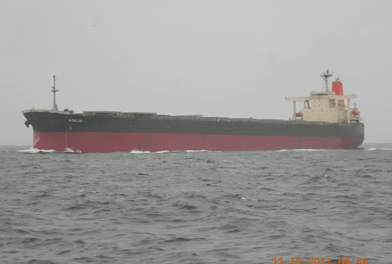 SUNNY BOKE Bulk Carrier IMO 9198240 photo 3