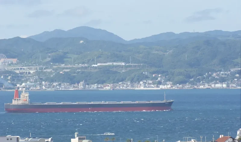 SUNNY BOKE Bulk Carrier IMO 9198240 photo 4