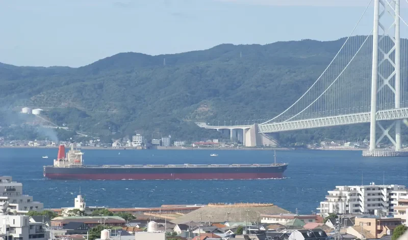SUNNY BOKE Bulk Carrier IMO 9198240 photo 5