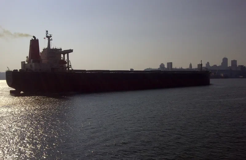 SUNNY BOKE Bulk Carrier IMO 9198240 photo 8
