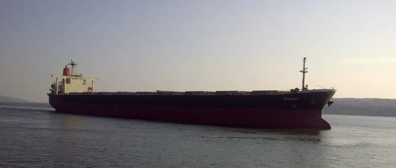 SUNNY BOKE Bulk Carrier IMO 9198240 photo 9