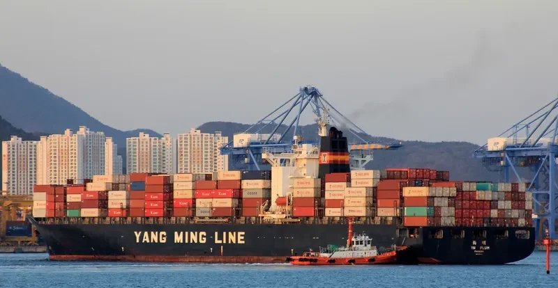 YM PLUM Container Ship IMO 9198264 photo 2