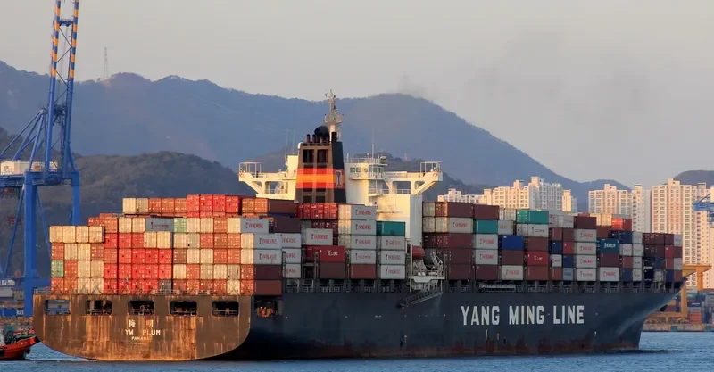 YM PLUM Container Ship IMO 9198264 photo 3