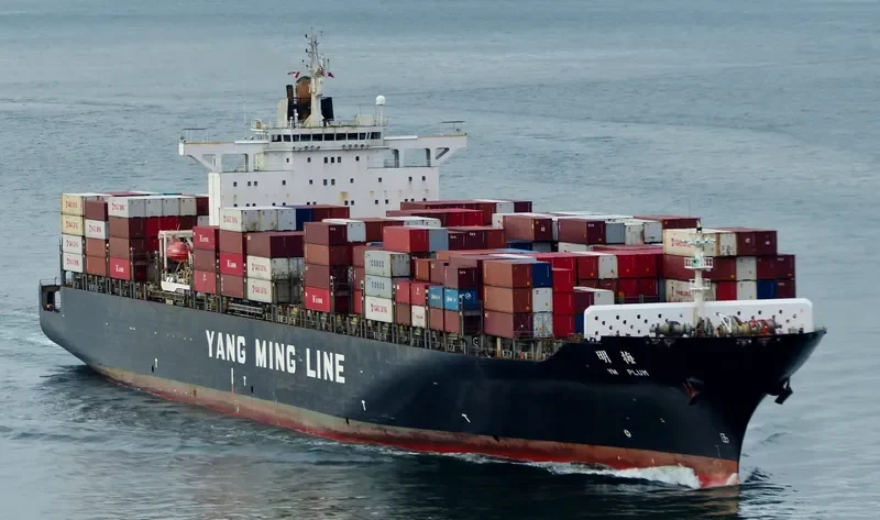 YM PLUM Container Ship IMO 9198264 photo 7