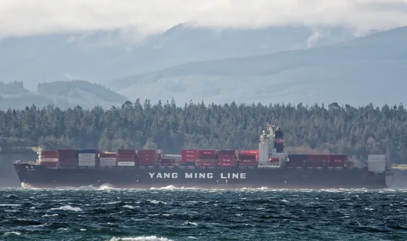 YM PLUM Container Ship IMO 9198264 photo 8