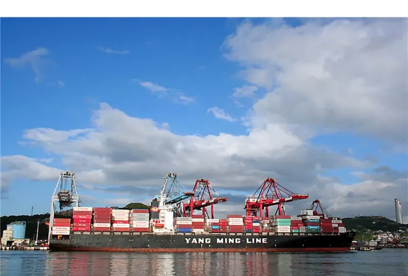 YM ORCHID Container Ship IMO 9198276 photo 7