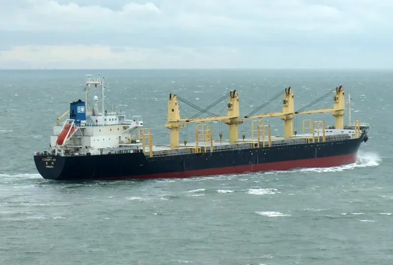 HN LUXURY Bulk Carrier IMO 9198379 photo 3