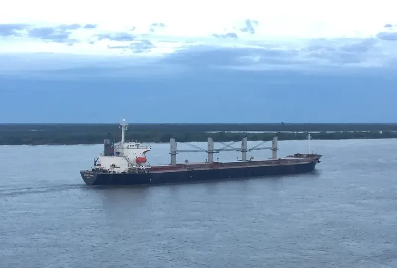 BOSPHORUS PRINCE Bulk Carrier IMO 9198381