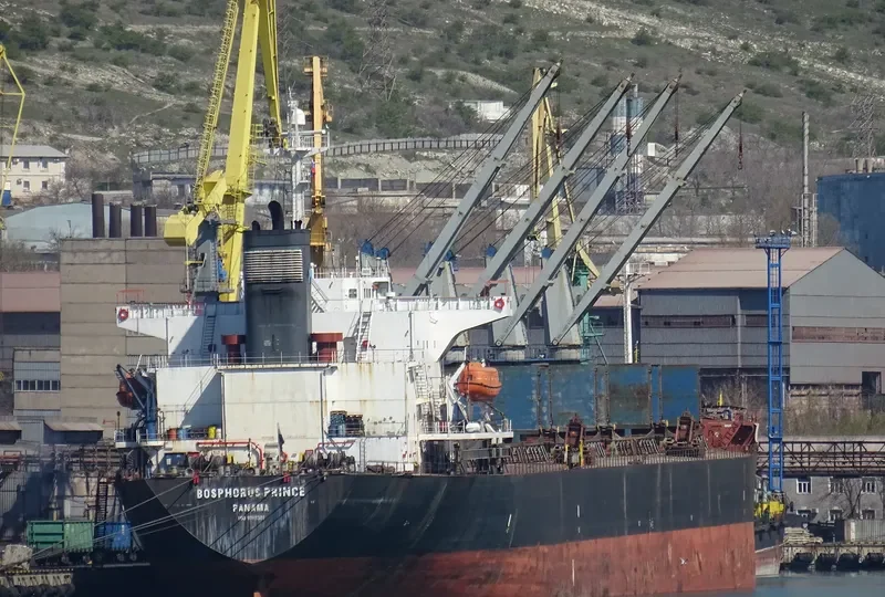 BOSPHORUS PRINCE Bulk Carrier IMO 9198381 photo 3