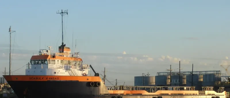 ELVICTORIOSO Offshore Vessel IMO 9198496 photo 2