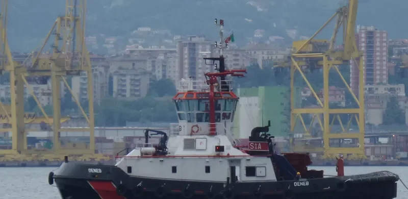 DENEB General Cargo IMO 9199062 photo 10