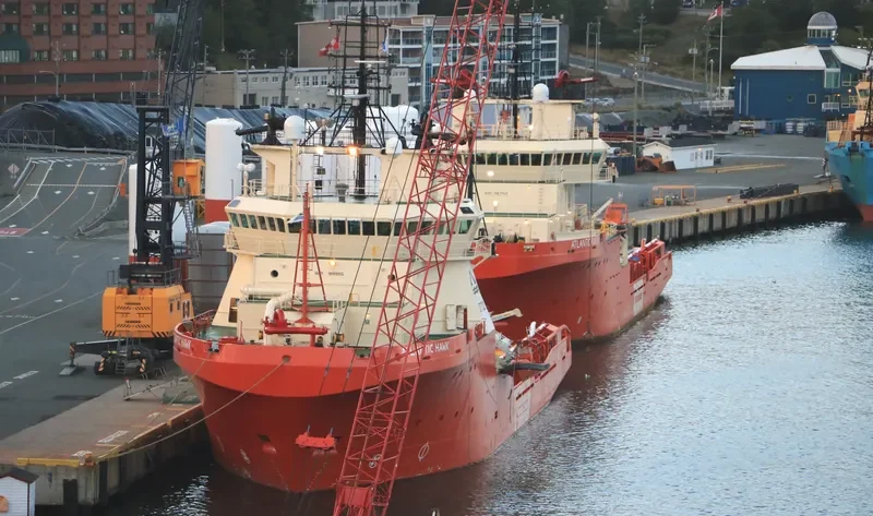 SEIVAL General Cargo IMO 9199115 photo 2