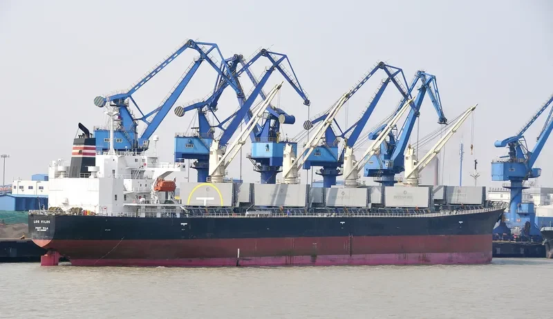 ZILOS Bulk Carrier IMO 9199206 photo 3