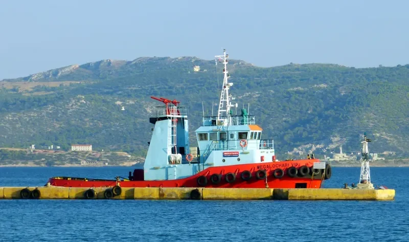 MEGALOCHARI VIII General Cargo IMO 9199440 photo 8
