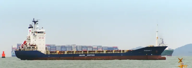 PROS FORTUNE Container Ship IMO 9199775 photo 3