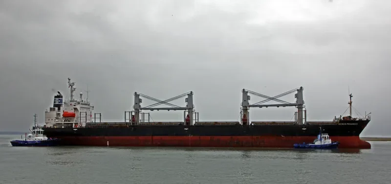 SOPHIA OCEAN Bulk Carrier IMO 9199830 photo 4