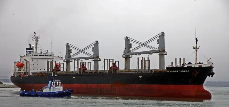 SOPHIA OCEAN Bulk Carrier IMO 9199830 photo 5