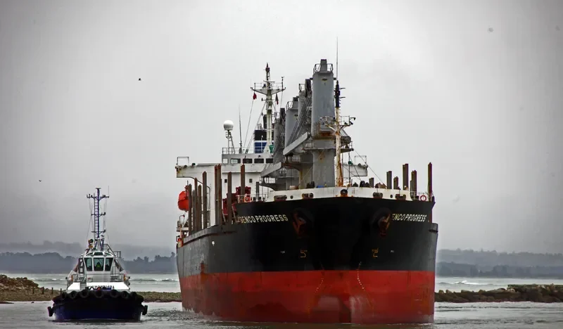 SOPHIA OCEAN Bulk Carrier IMO 9199830 photo 6