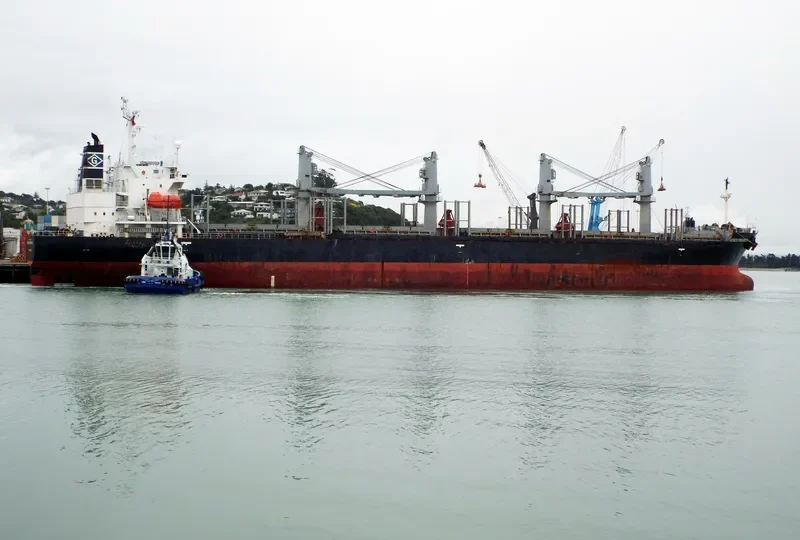 SOPHIA OCEAN Bulk Carrier IMO 9199830 photo 9