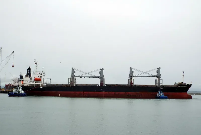 SOPHIA OCEAN Bulk Carrier IMO 9199830 photo 10