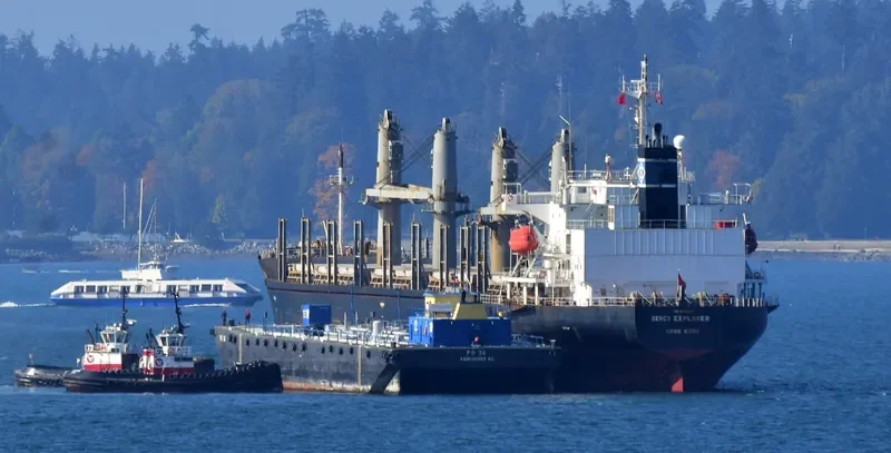 BAO FENG Bulk Carrier IMO 9199842 photo 2