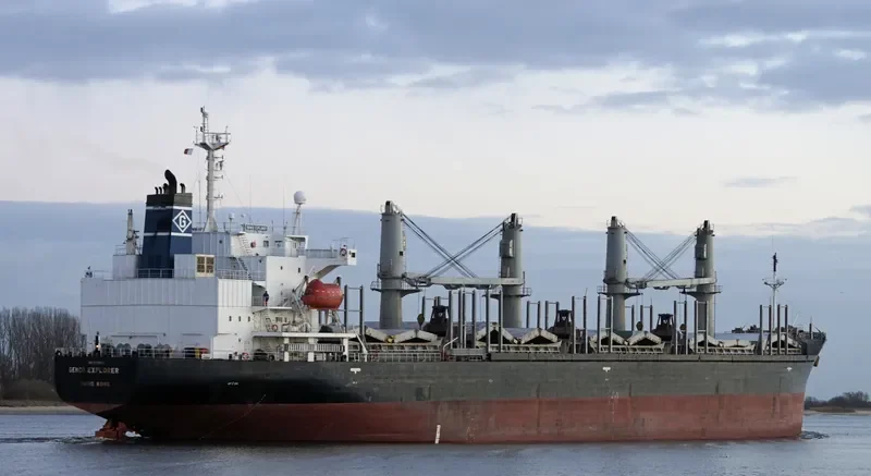 BAO FENG Bulk Carrier IMO 9199842 photo 9