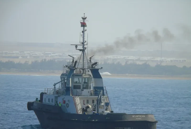 WELWITSCHIA General Cargo IMO 9200275