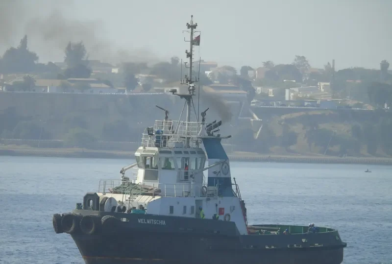 WELWITSCHIA General Cargo IMO 9200275 photo 2