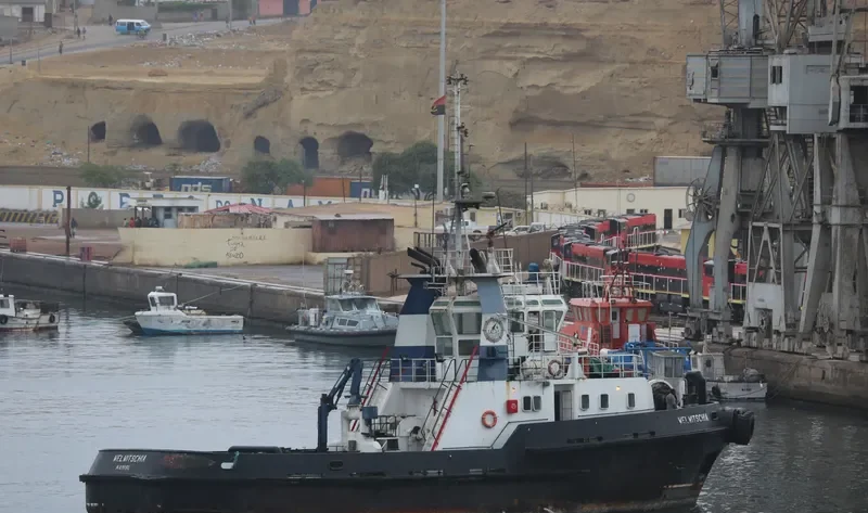 WELWITSCHIA General Cargo IMO 9200275 photo 3