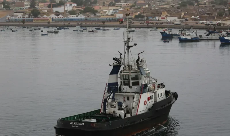 WELWITSCHIA General Cargo IMO 9200275 photo 4